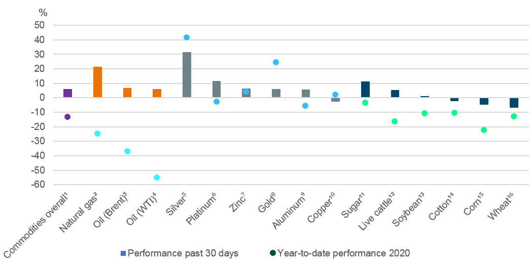 202008 CIO Commodity Commentary_Chart.png